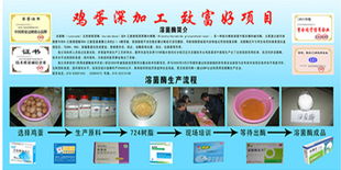 洞悉食品飲料行業新機遇 精準求購與技術轉讓的策略指南